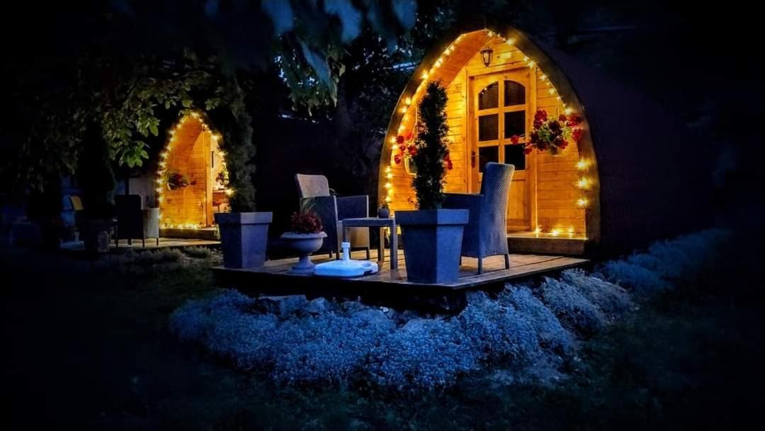 Vila Jelena - Bungalov Crni Vrh 외부 사진